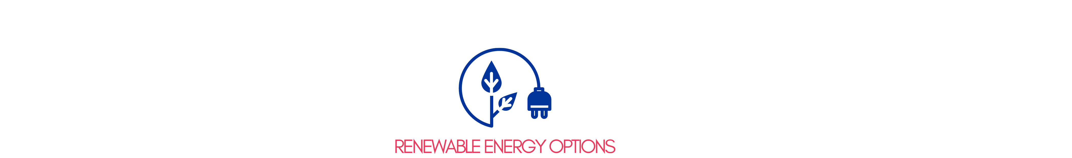 Renewable Energy Options Banner