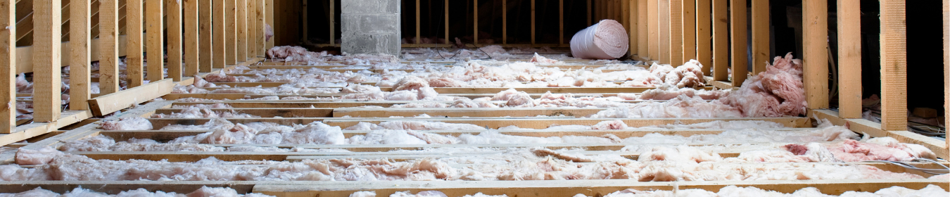 Attic Insulation